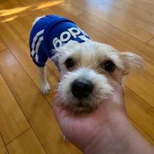 Meet your Posher, Joan